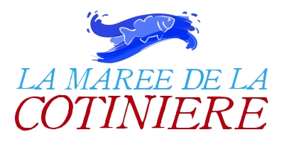 Logo #17049 + Papeterie (Cartes de Visites, ...)