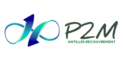 Logo #17220 + Papeterie (Cartes de Visites, ...)