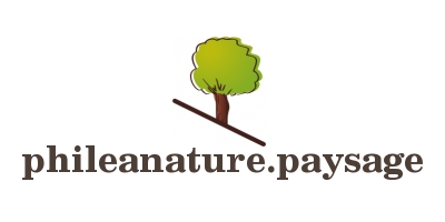 Logo #17843 + Papeterie (Cartes de Visites, ...)