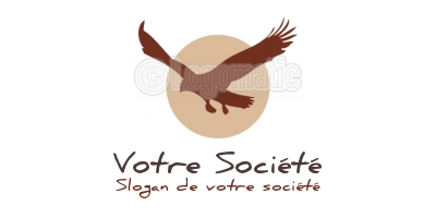 Creation logo aigle2 #17997